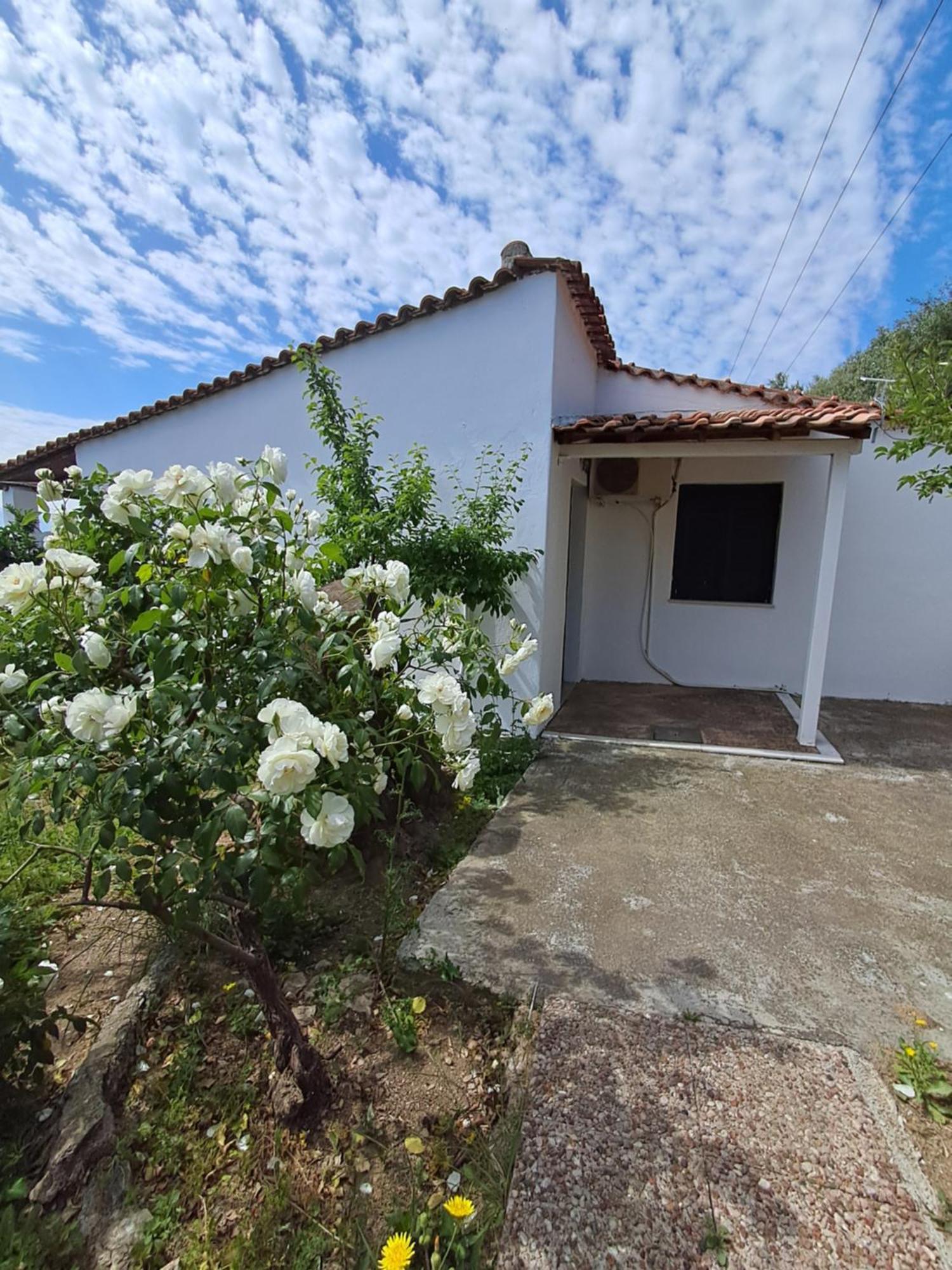 Camelia Studios Skiathos Town Exterior photo